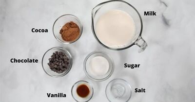 Raw ingredients - cocoa, sugar, milk, vanilla